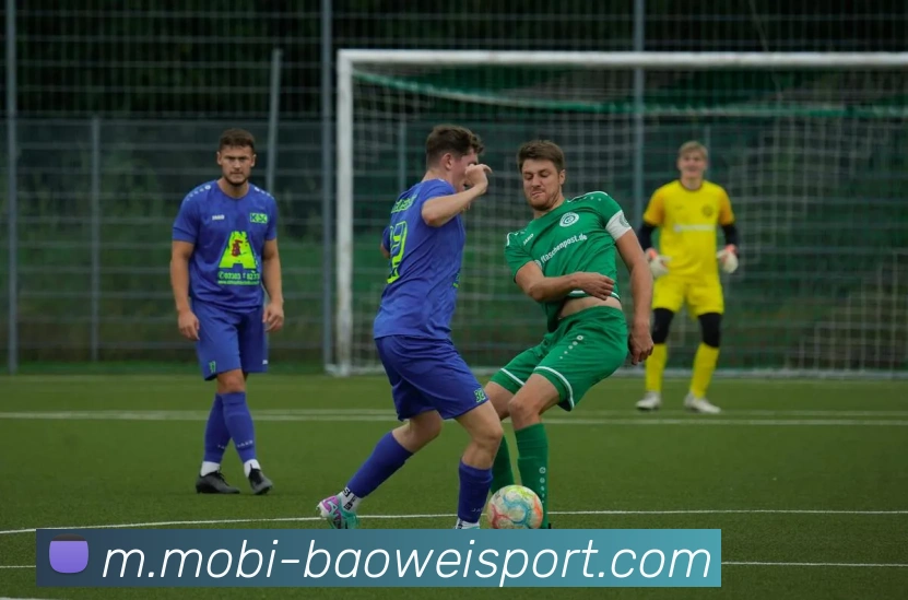 宝威体育平台生态图