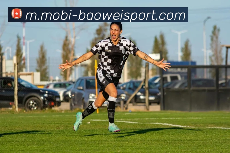 宝威体育APP 封面图